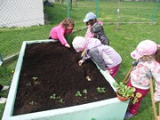 Zahradničíme ve školce